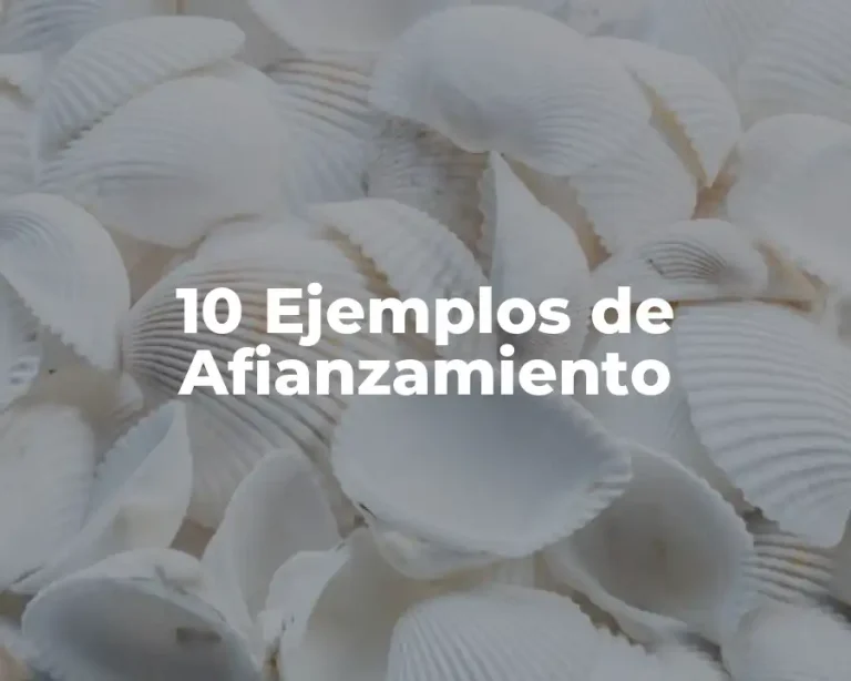 10 Ejemplos de Afianzamiento