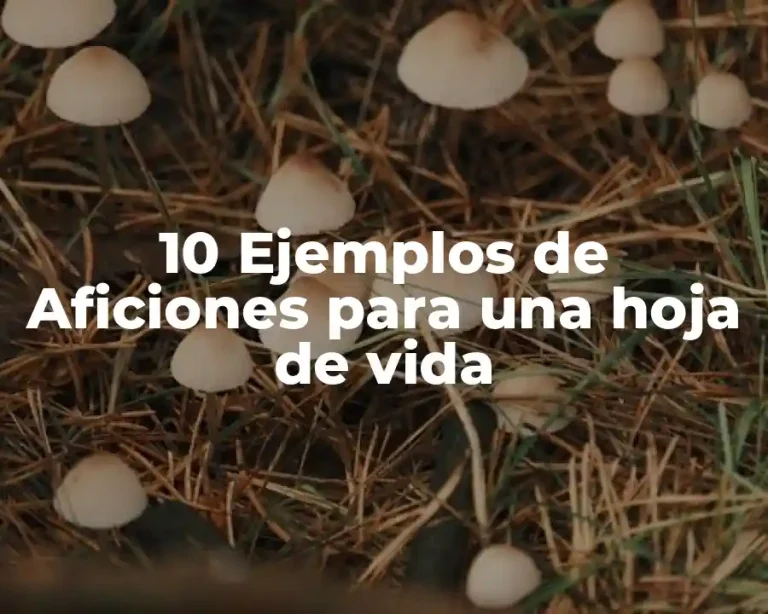 10 Ejemplos de Aficiones para una hoja de vida