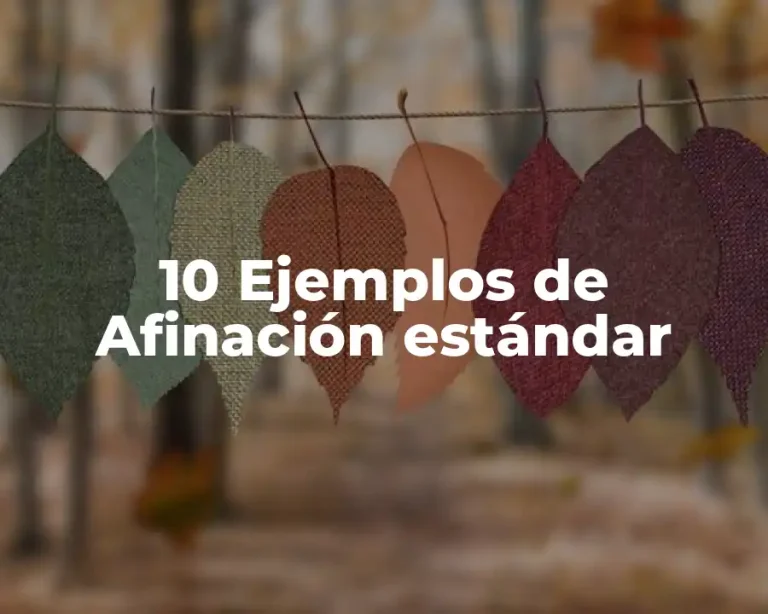 10 Ejemplos de Afinación estándar