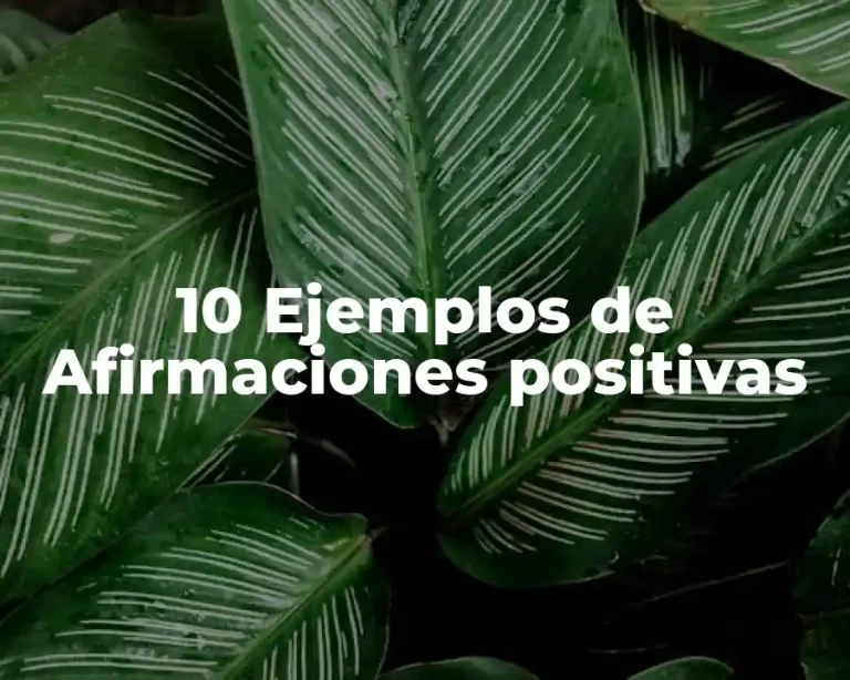 10 Ejemplos de Afirmaciones positivas