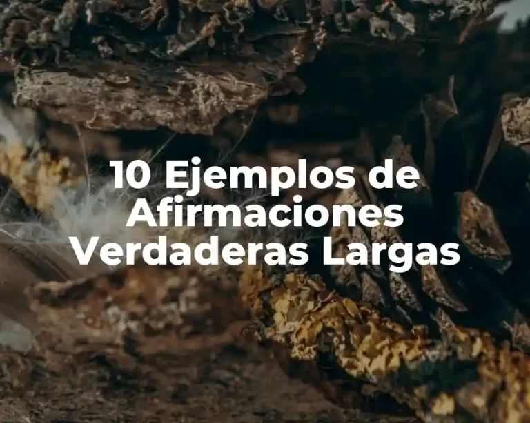 10 Ejemplos de Afirmaciones Verdaderas Largas