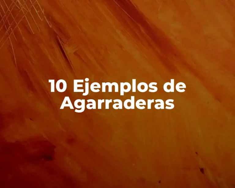 10 Ejemplos de Agarraderas