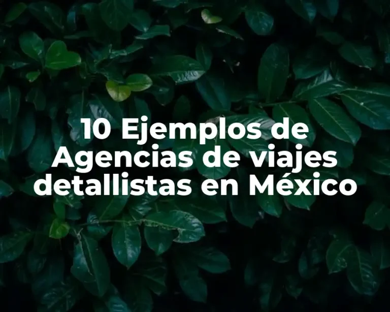 10 Ejemplos de Agencias de viajes detallistas en México