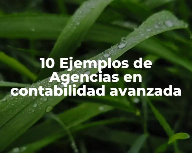 10 Ejemplos de Agencias en contabilidad avanzada