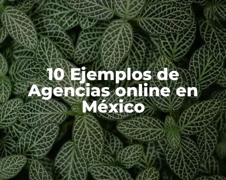 10 Ejemplos de Agencias online en México