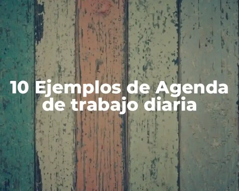 10 Ejemplos de Agenda de trabajo diaria