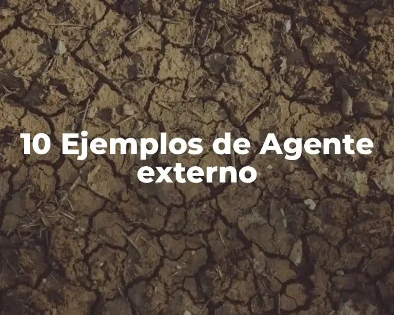 10 Ejemplos de Agente externo