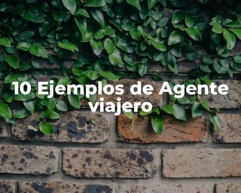 10 Ejemplos de Agente viajero