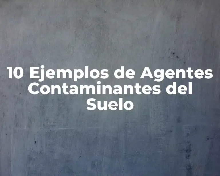 10 Ejemplos de Agentes Contaminantes del Suelo