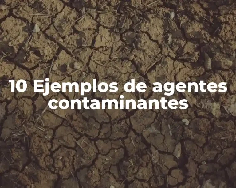 10 Ejemplos de agentes contaminantes