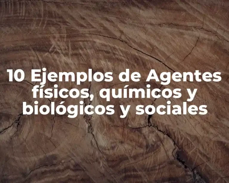10 Ejemplos de Agentes físicos, químicos y biológicos y sociales