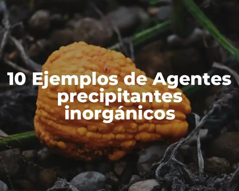 10 Ejemplos de Agentes precipitantes inorgánicos