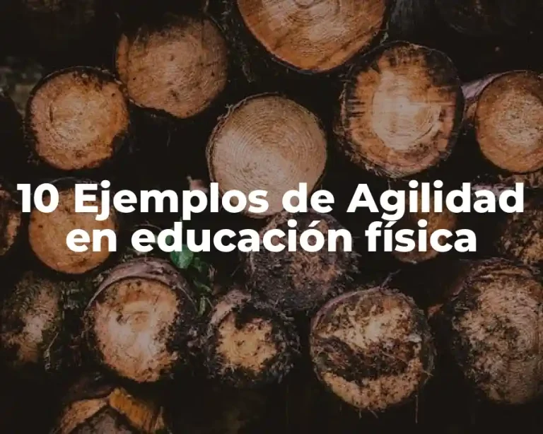 10 Ejemplos de Agilidad en educación física