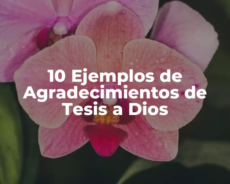 10 Ejemplos de Agradecimientos de Tesis a Dios