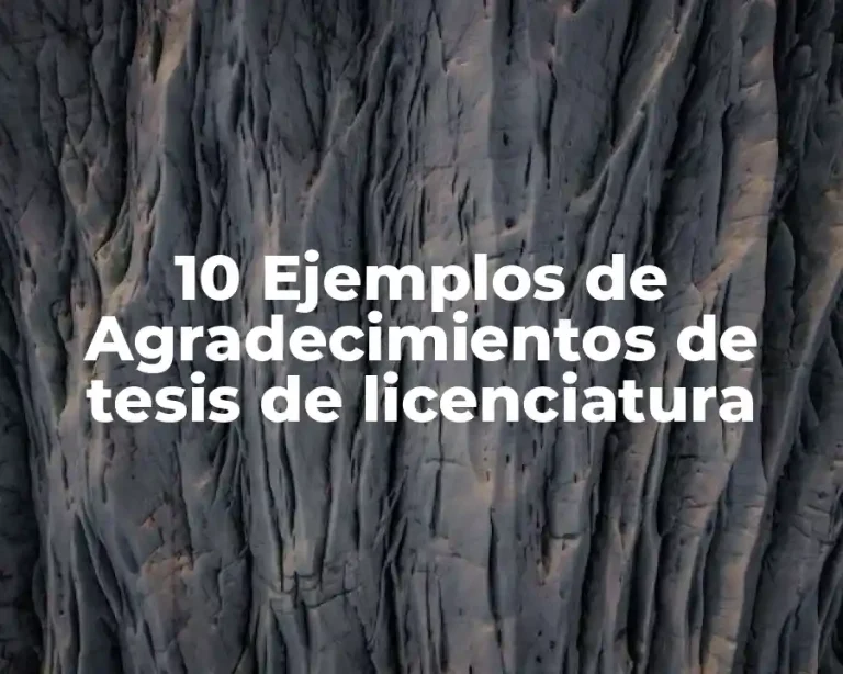 10 Ejemplos de Agradecimientos de tesis de licenciatura