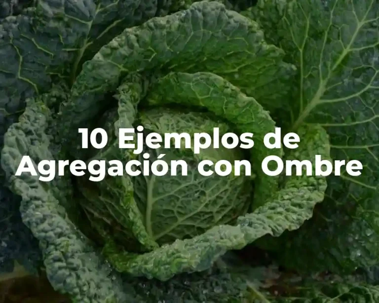 10 Ejemplos de Agregación con Ombre