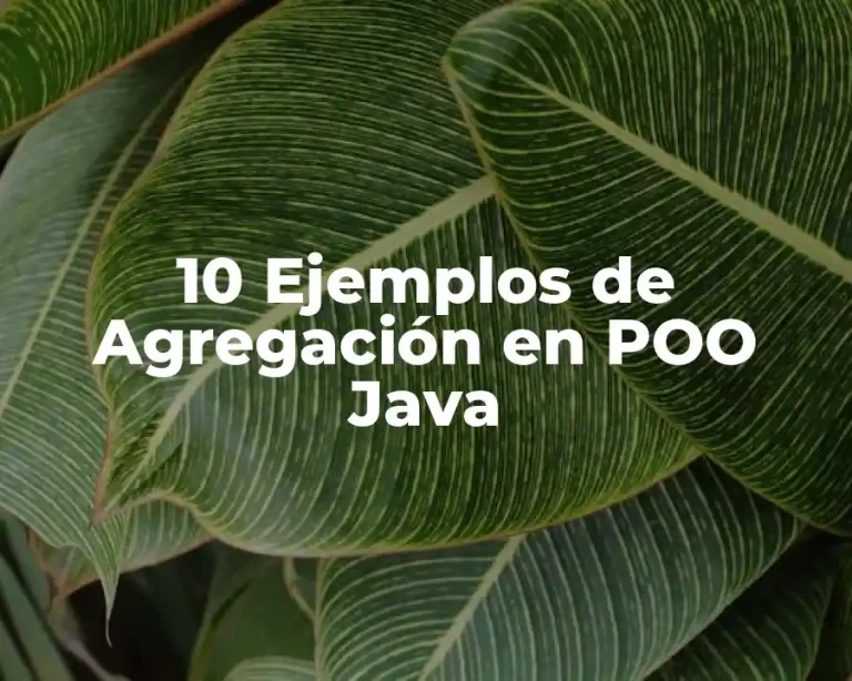 10 Ejemplos de Agregación en POO Java