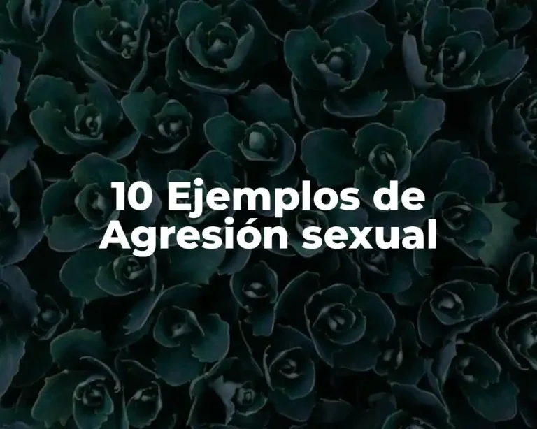 10 Ejemplos de Agresión sexual