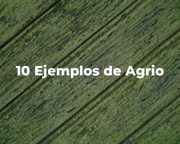 10 Ejemplos de Agrio