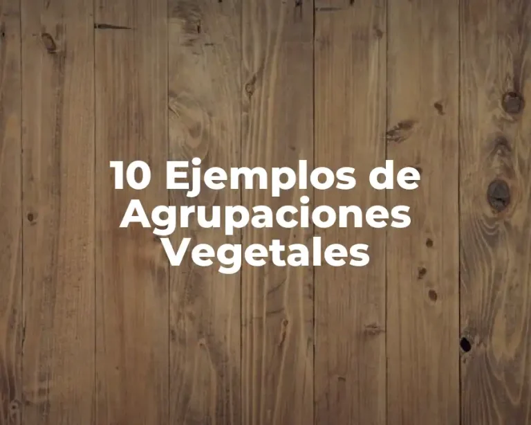 10 Ejemplos de Agrupaciones Vegetales