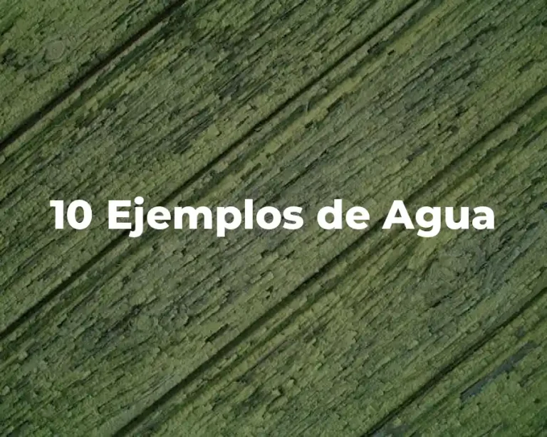 10 Ejemplos de Agua