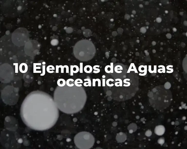 10 Ejemplos de Aguas oceanicas