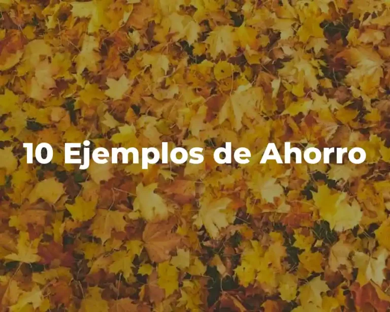 10 Ejemplos de Ahorro