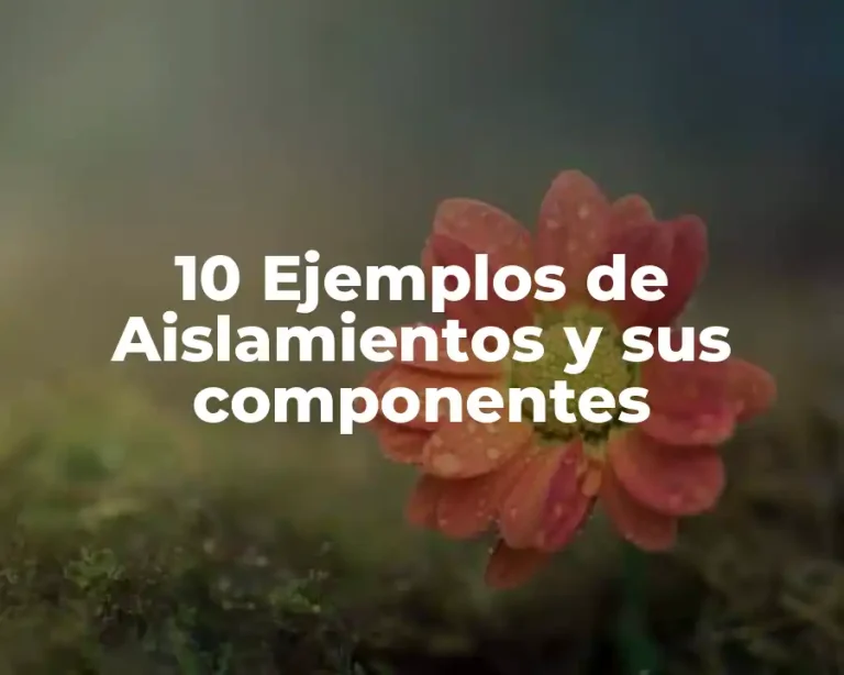 10 Ejemplos de Aislamientos y sus componentes