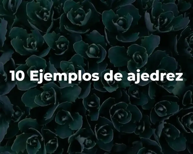 10 Ejemplos de ajedrez