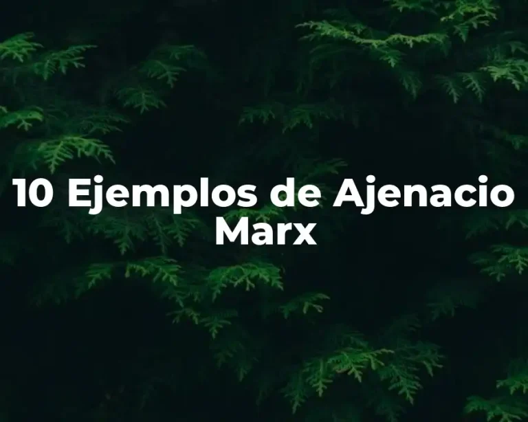 10 Ejemplos de Ajenacio Marx