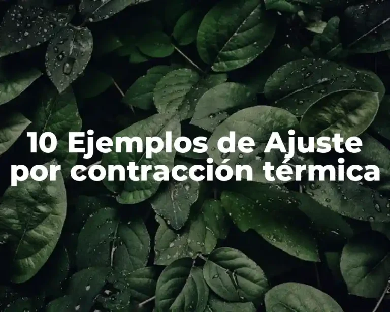 10 Ejemplos de Ajuste por contracción térmica