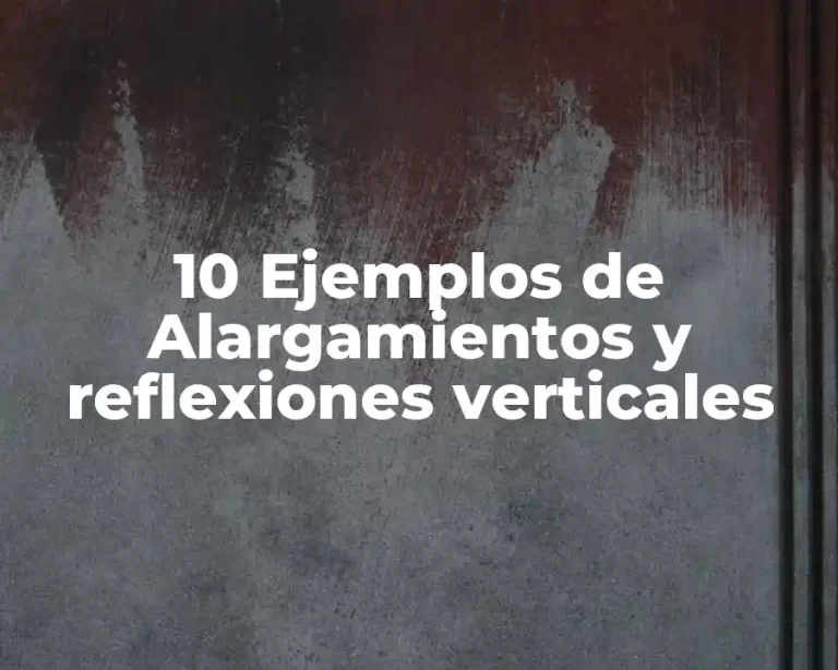 10 Ejemplos de Alargamientos y reflexiones verticales