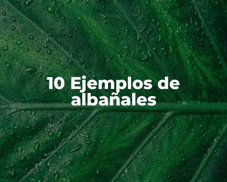 10 Ejemplos de albañales