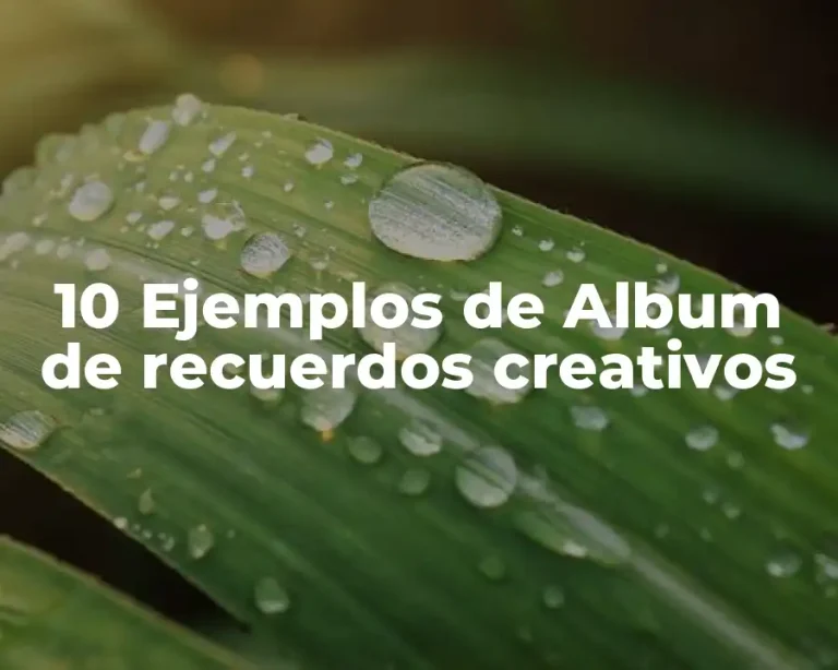 10 Ejemplos de Album de recuerdos creativos