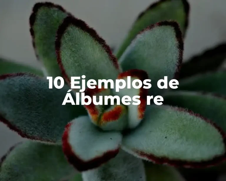 10 Ejemplos de Álbumes re