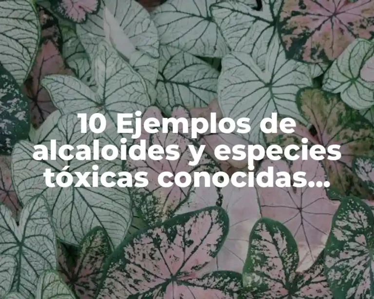 10 Ejemplos de alcaloides y especies tóxicas conocidas desde la antigüedad