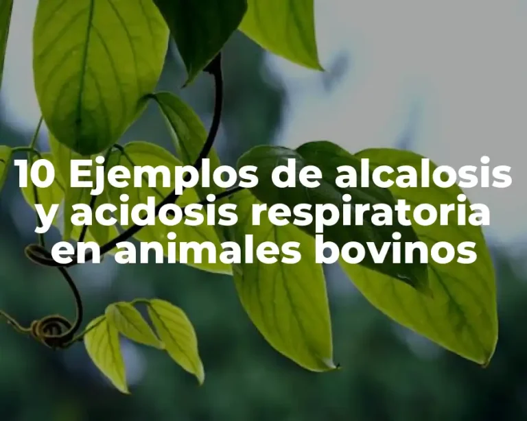 10 Ejemplos de alcalosis y acidosis respiratoria en animales bovinos