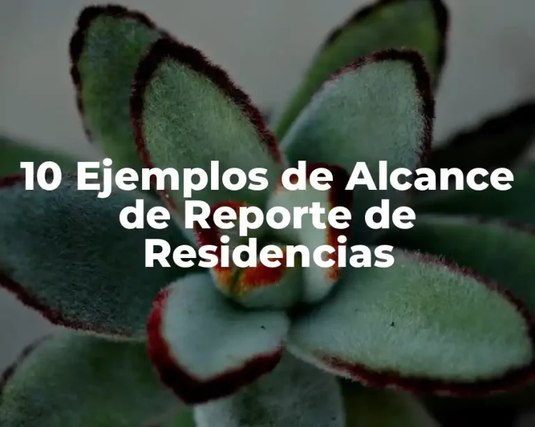 10 Ejemplos de Alcance de Reporte de Residencias
