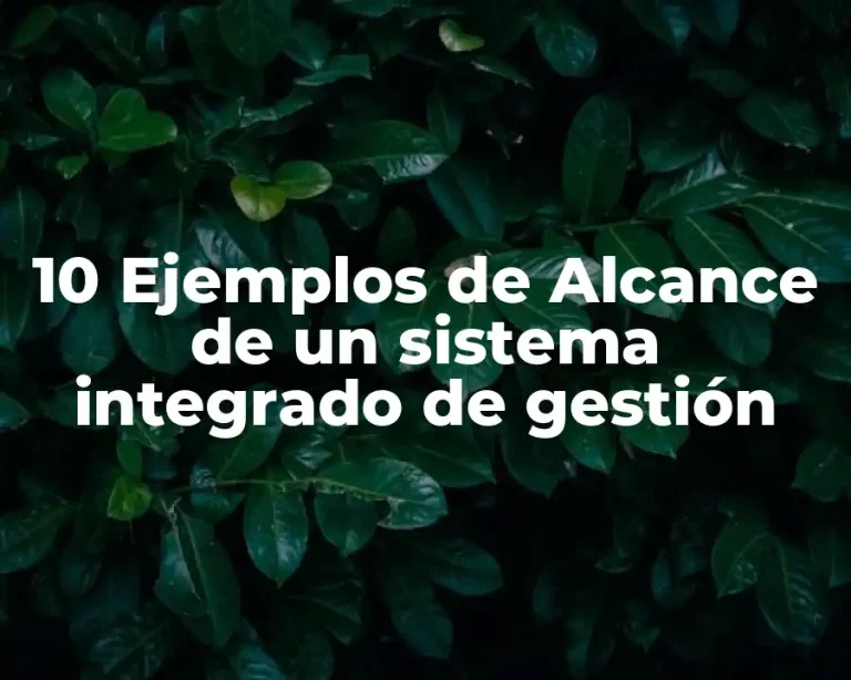 10 Ejemplos de Alcance de un sistema integrado de gestión