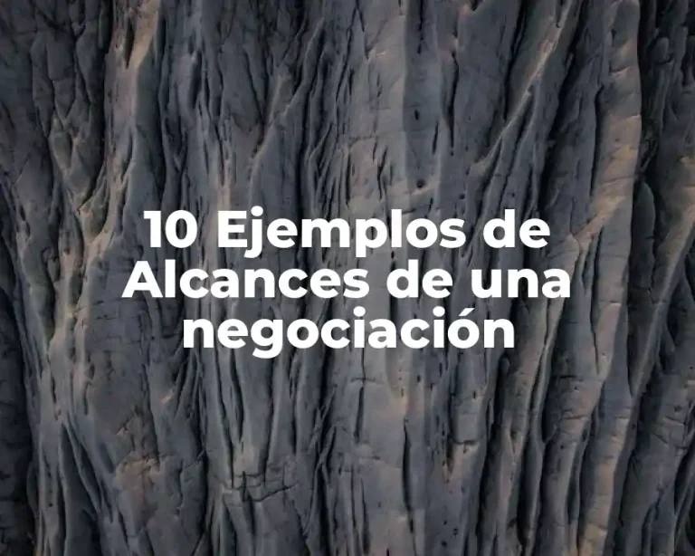 10 Ejemplos de Alcances de una negociación