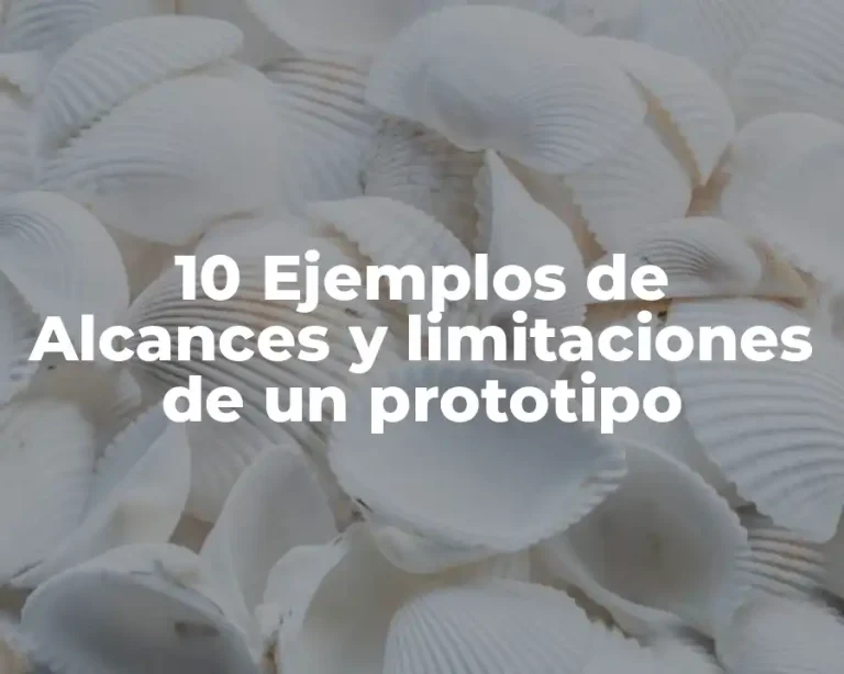 10 Ejemplos de Alcances y limitaciones de un prototipo