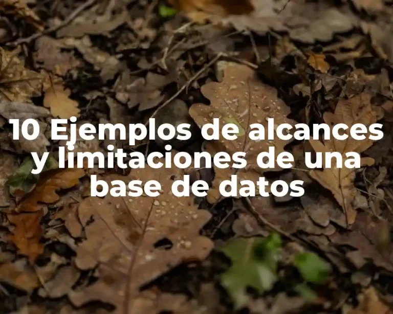 10 Ejemplos de alcances y limitaciones de una base de datos