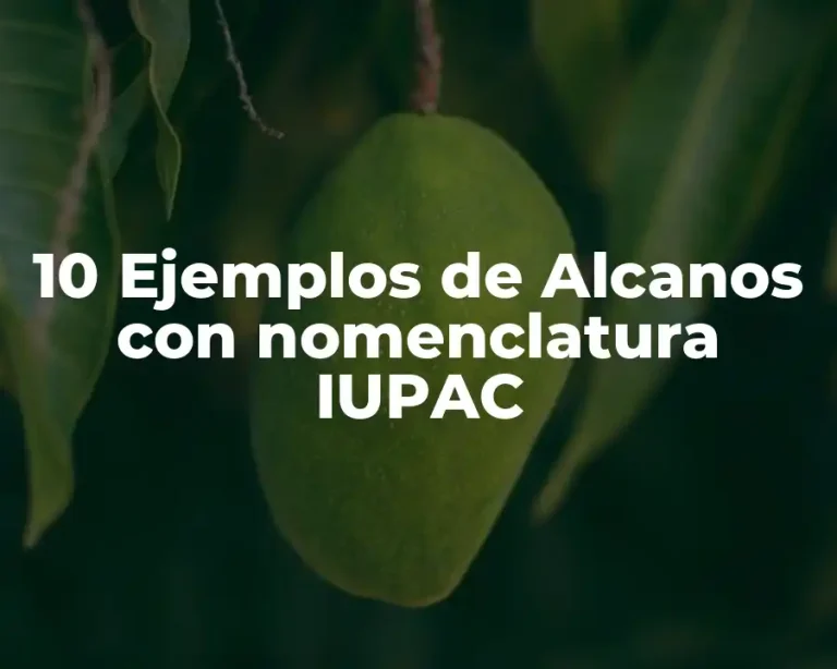 10 Ejemplos de Alcanos con nomenclatura IUPAC