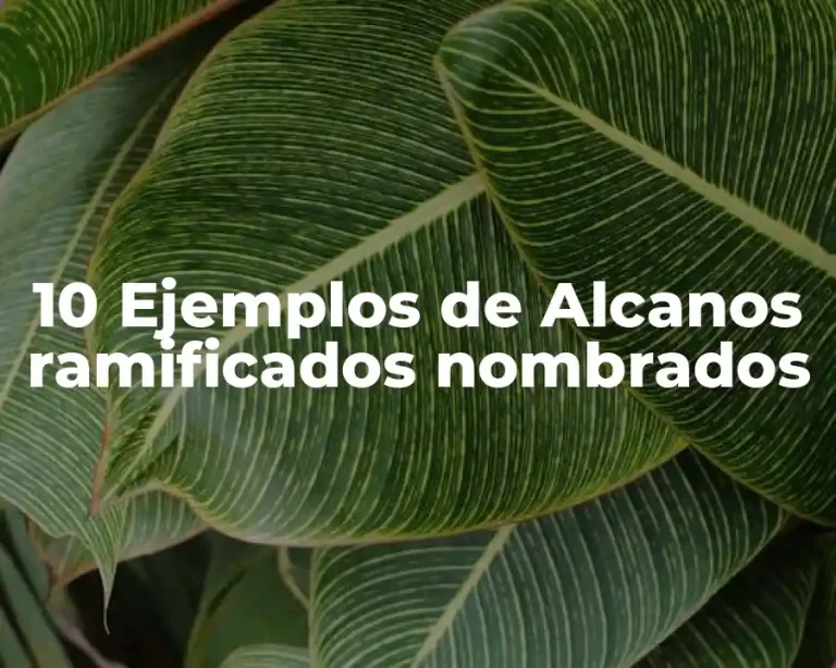 10 Ejemplos de Alcanos ramificados nombrados