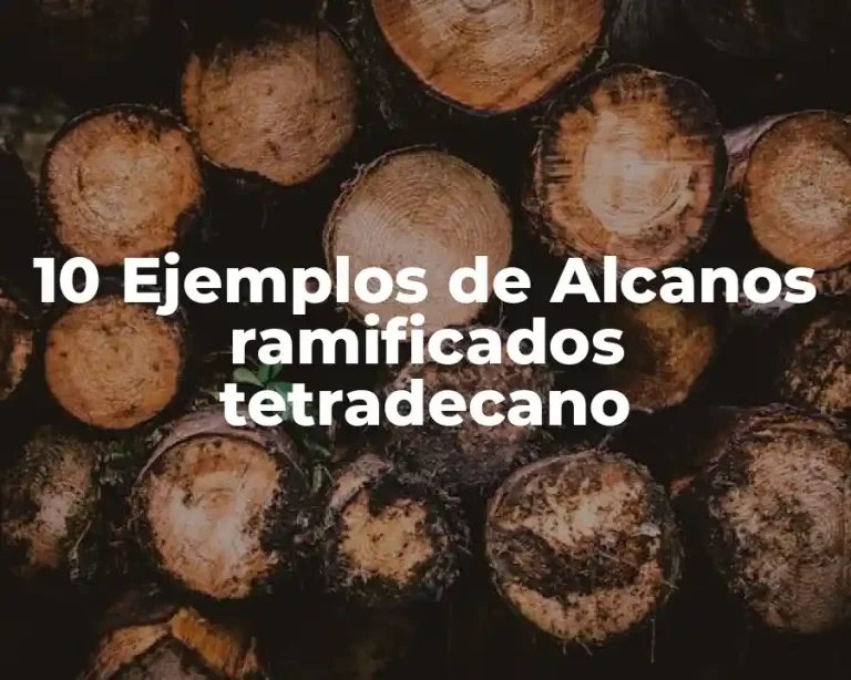 10 Ejemplos de Alcanos ramificados tetradecano