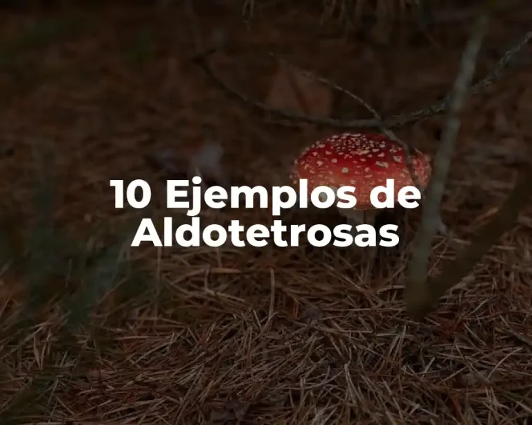 10 Ejemplos de Aldotetrosas