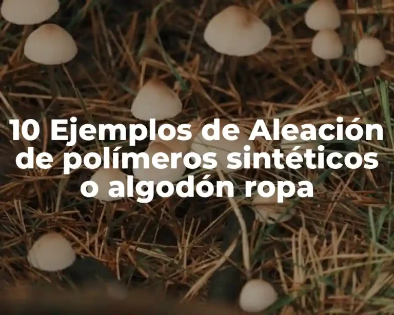 10 Ejemplos de Aleación de polímeros sintéticos o algodón ropa