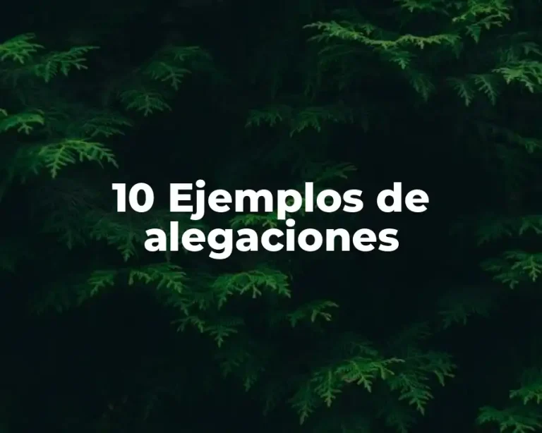 10 Ejemplos de alegaciones