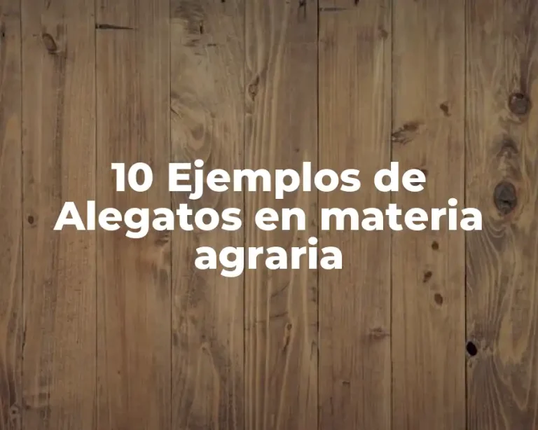 10 Ejemplos de Alegatos en materia agraria