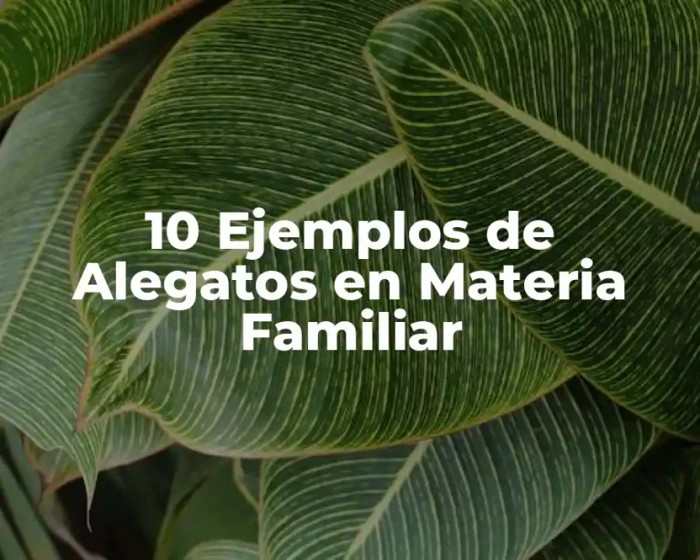 10 Ejemplos de Alegatos en Materia Familiar